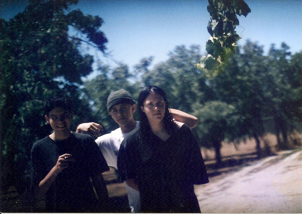 Nothing Special, San Martin walnut orchard, 1996